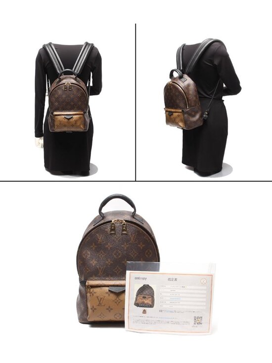 Louis Vuitton Backpack Palm Springs PM Monogram main image 8